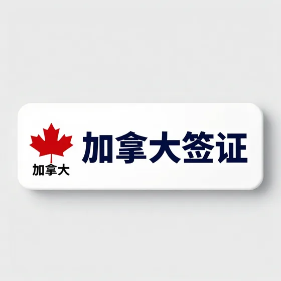 电气设备供应